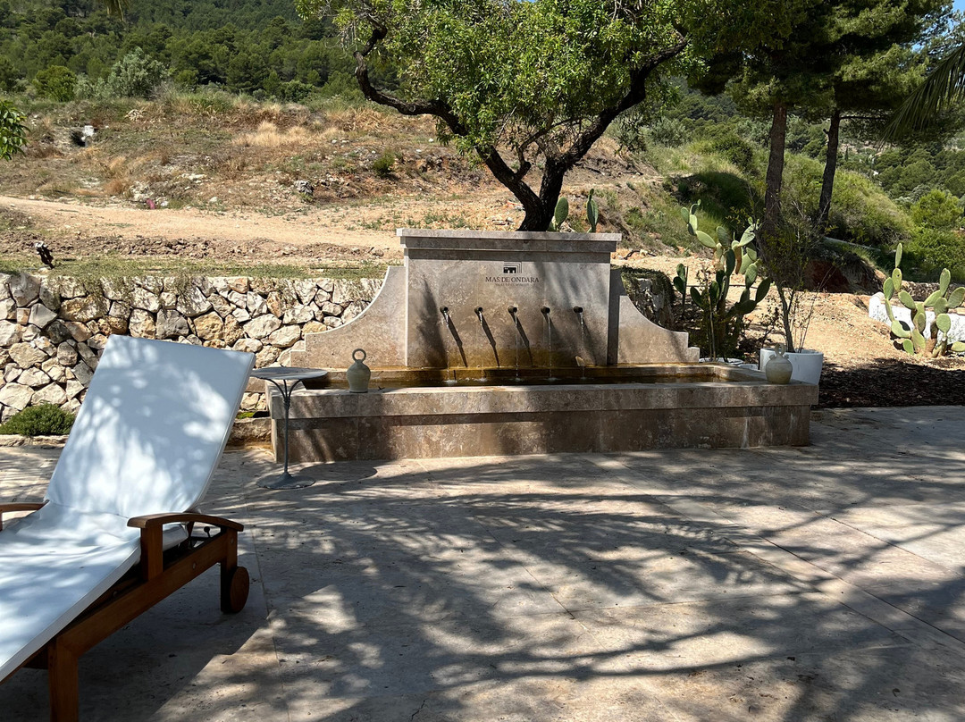 Bodega Masos Guadalest景点图片