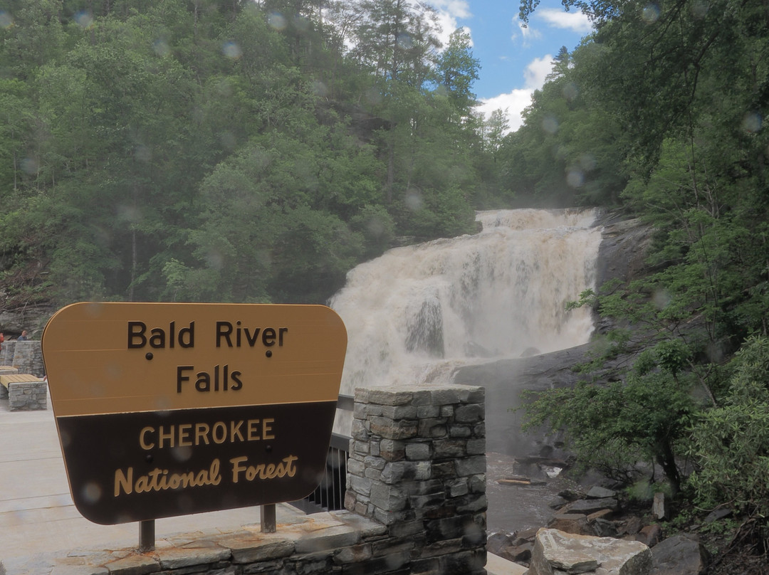 Bald River Falls景点图片