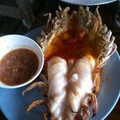 eatdrinkstay