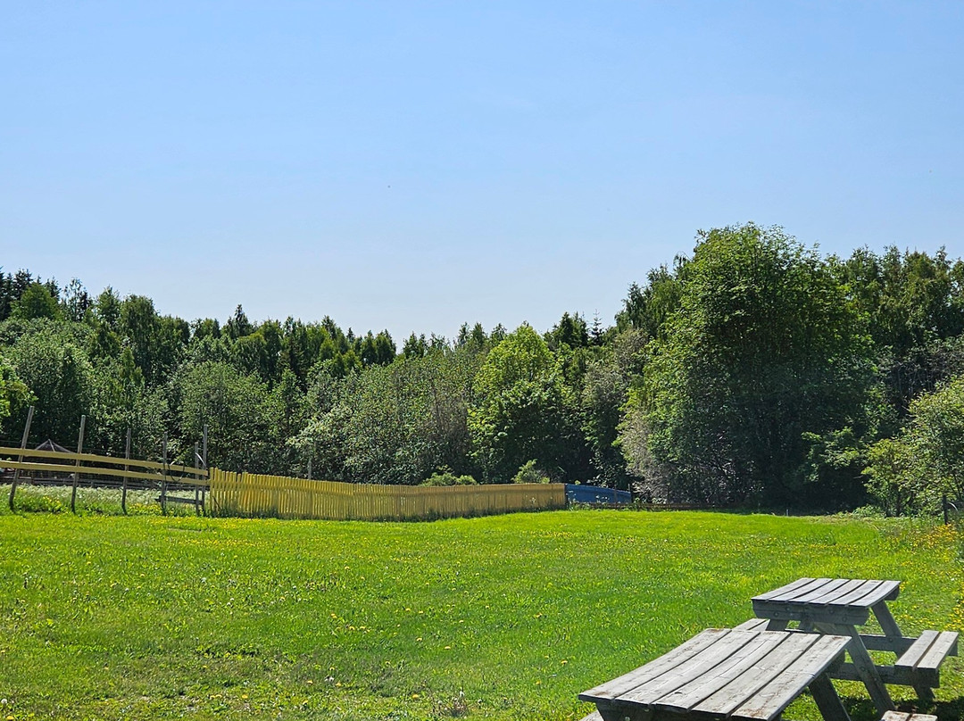 Snilsberg Familiepark-哈马尔必去景点