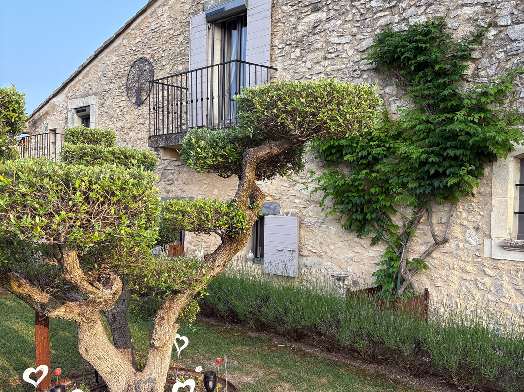 Bastide des Demoiselles主图