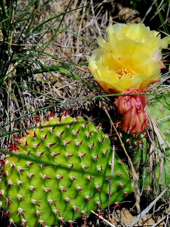 Saskatchewan Landing Provincial Park-Stewart Valley必去景点