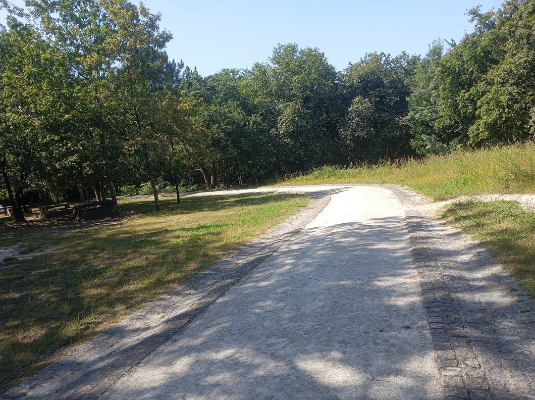 Parque de Avioso - S. Pedro-Maia必去景点