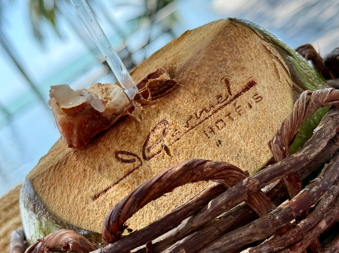 Carmel Taiba Exclusive Resort主图