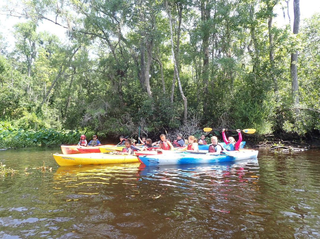 Amelia Island Kayak Excursions-费尔南迪纳岛必去景点