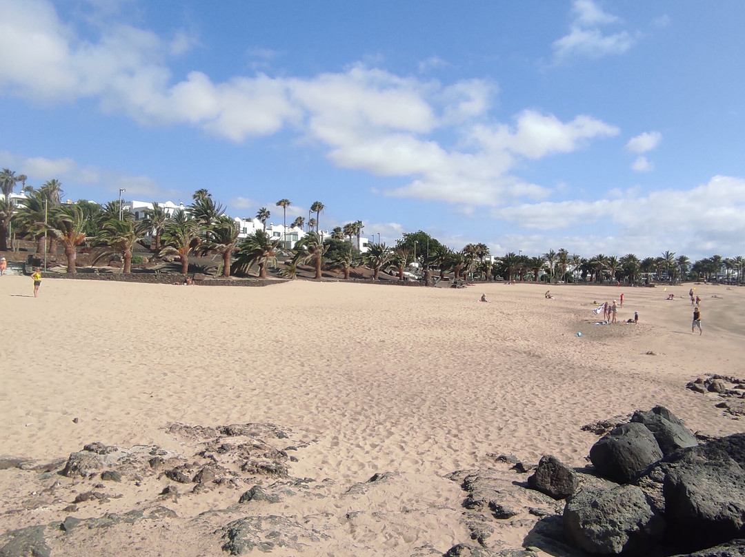 Playa de las Cucharas-科斯塔特吉塞必去景点