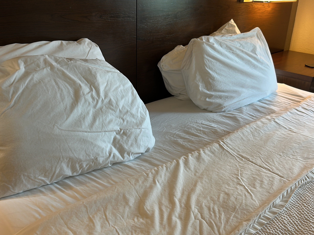 Residence Inn by Marriott Akron South/Green主图