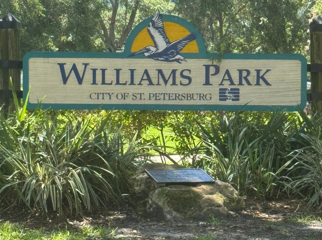 St Petersburg Saturday Morning Market-圣彼德斯堡必去景点