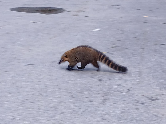 Rio Adventures-里约热内卢必去景点