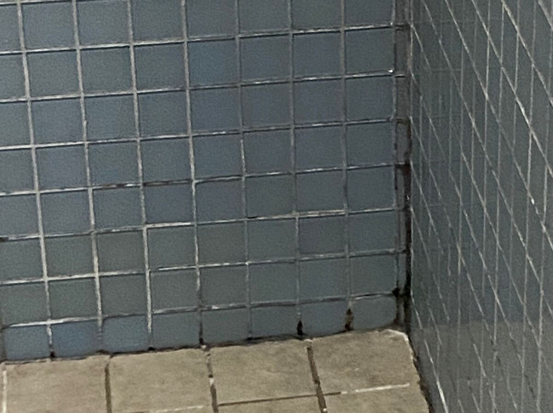 Exe Oriental Panama主图