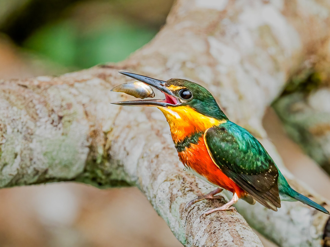 San Jorge Eco-lodges & Private Reserves in Ecuador-基多必去景点