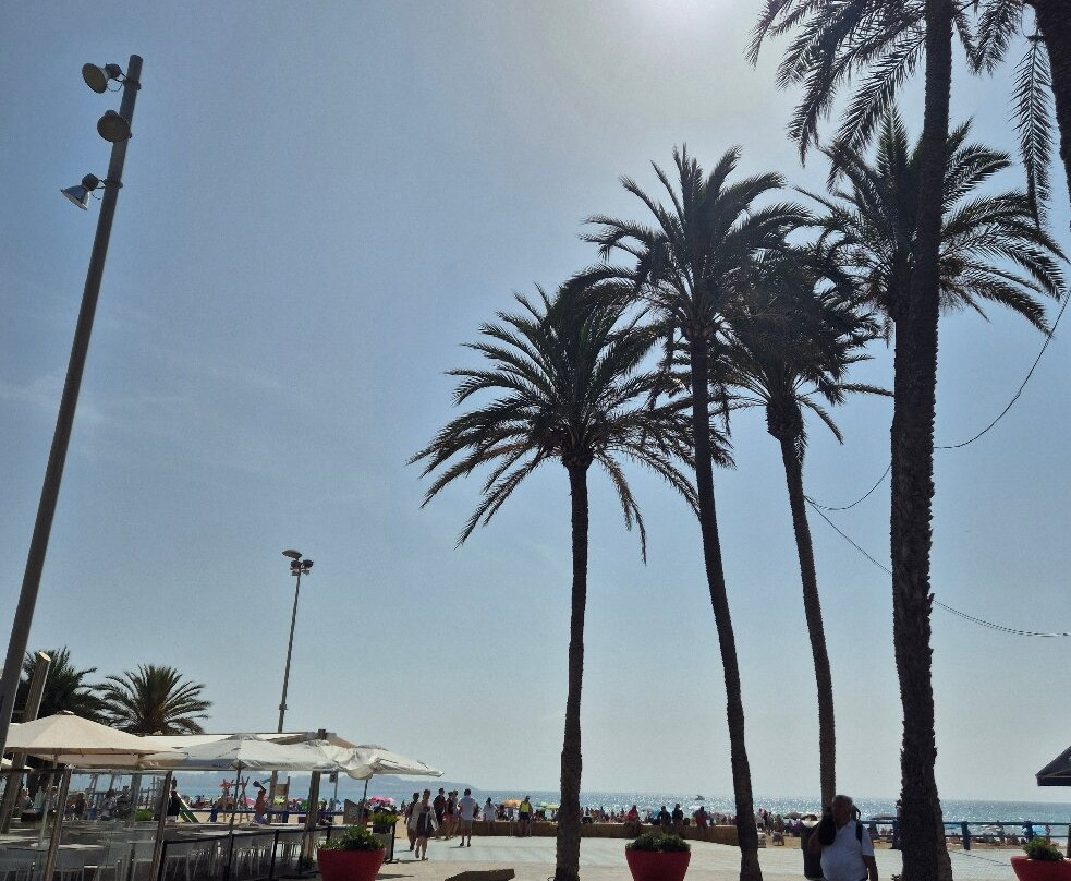 Plaça Porta del Mar-阿利坎特省必去景点