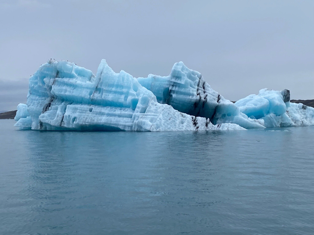 Vilholdt Rejser ApS-雷克雅未克必去景点