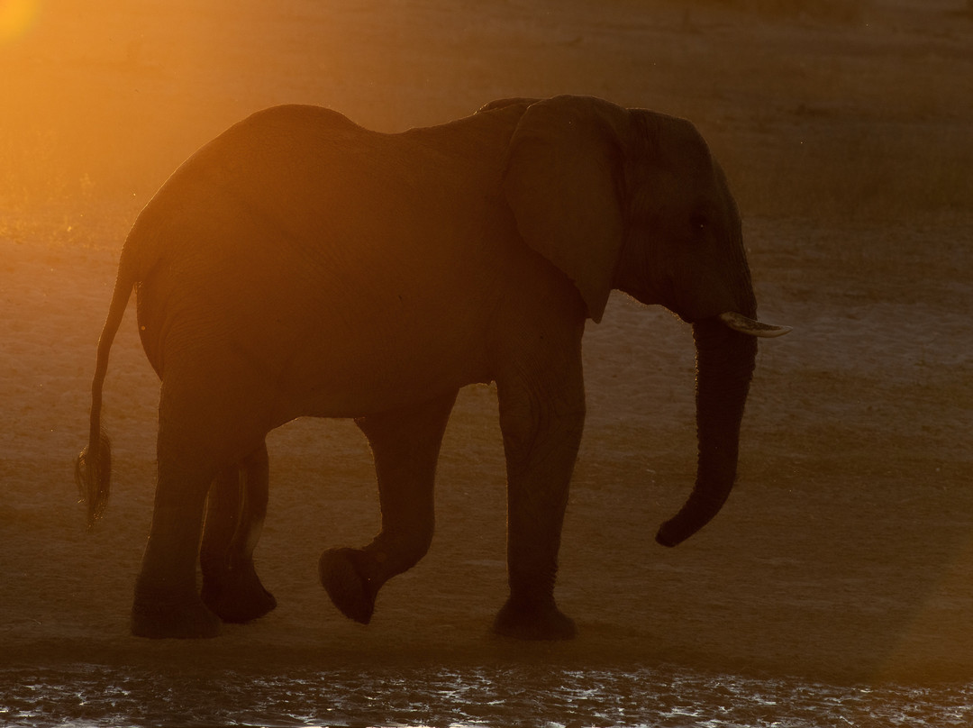 Real Africa Safaris Chobe-卡萨尼必去景点