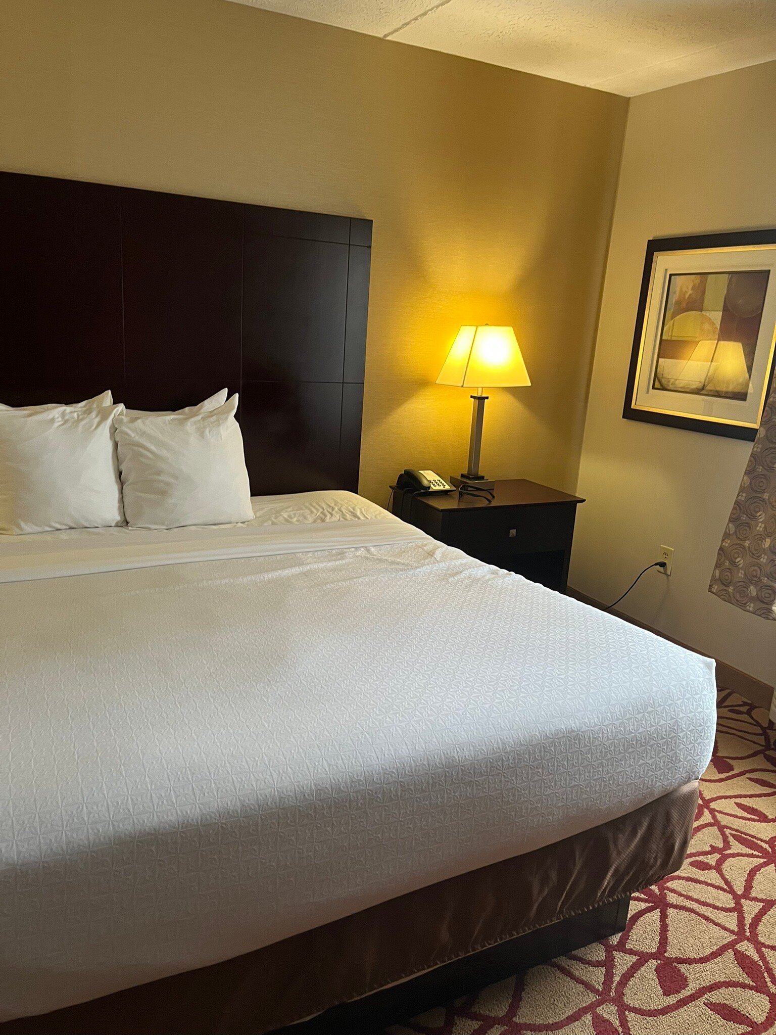 Best Western Park Hotel-官方