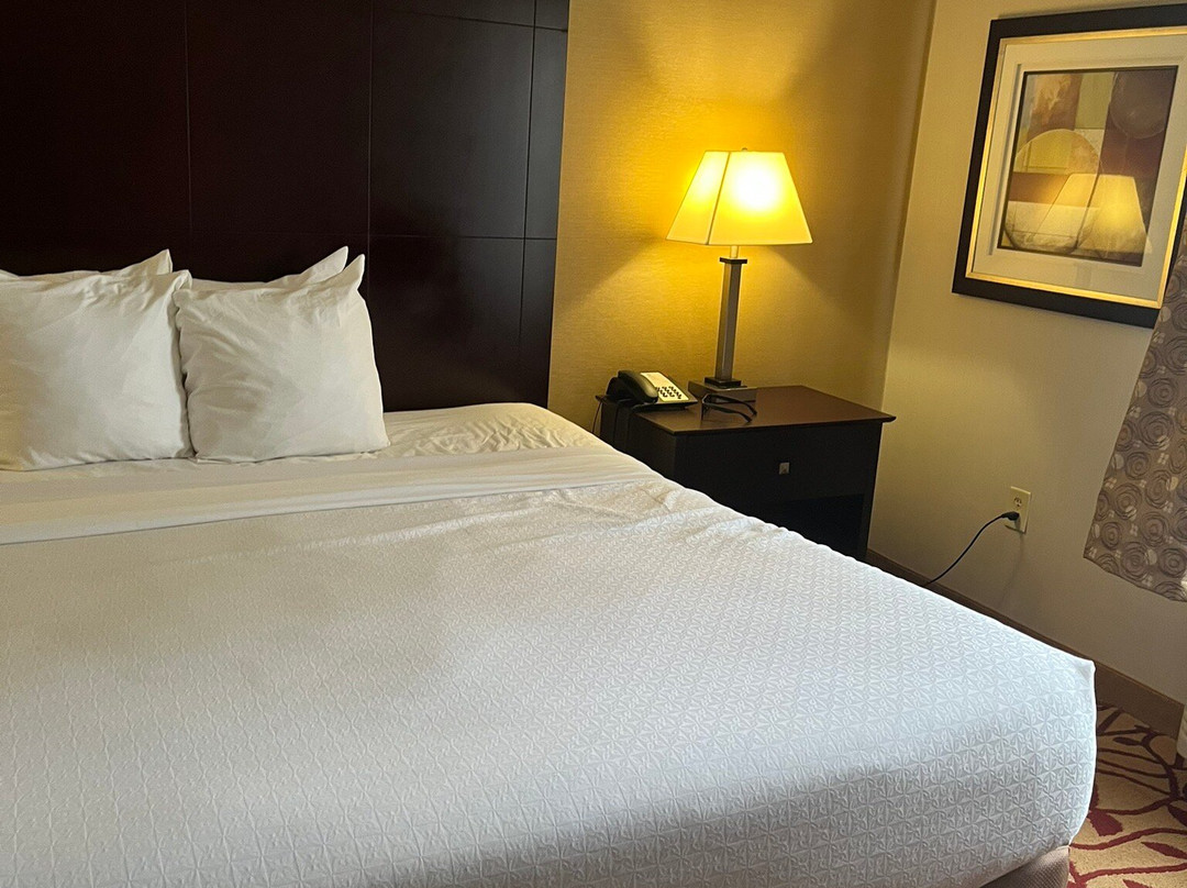 Best Western Park Hotel主图