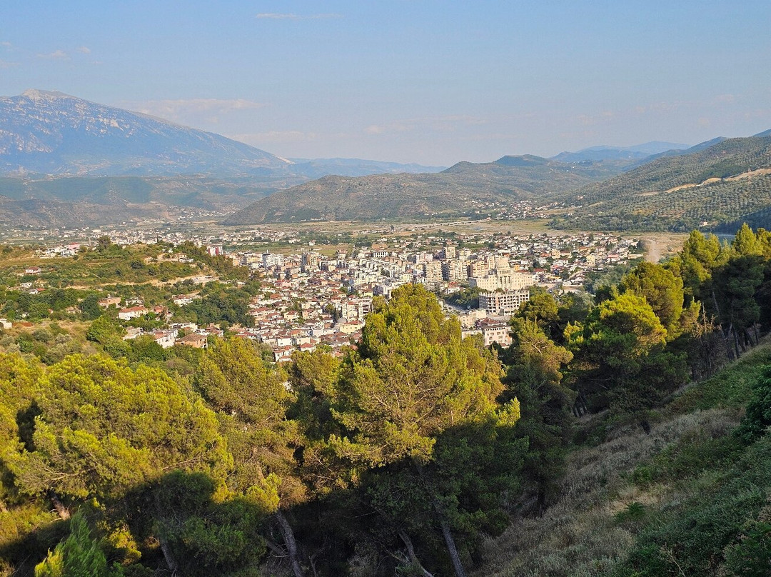 Vila Lili Guest House主图