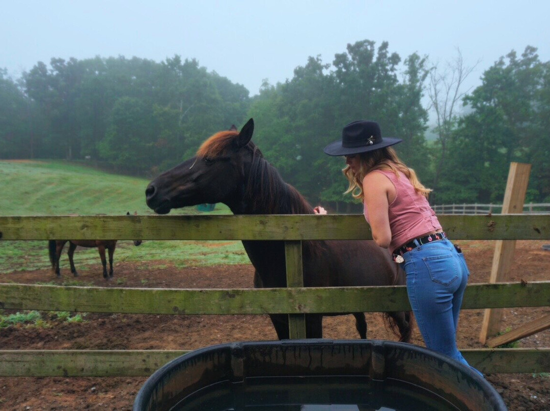 Blanche Manor Horseback Riding-Copperhill必去景点