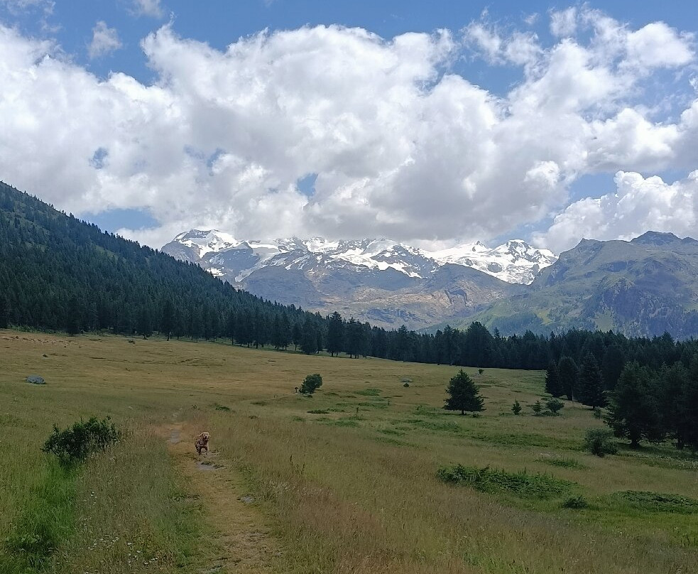 Hotel Villa Anna Maria主图