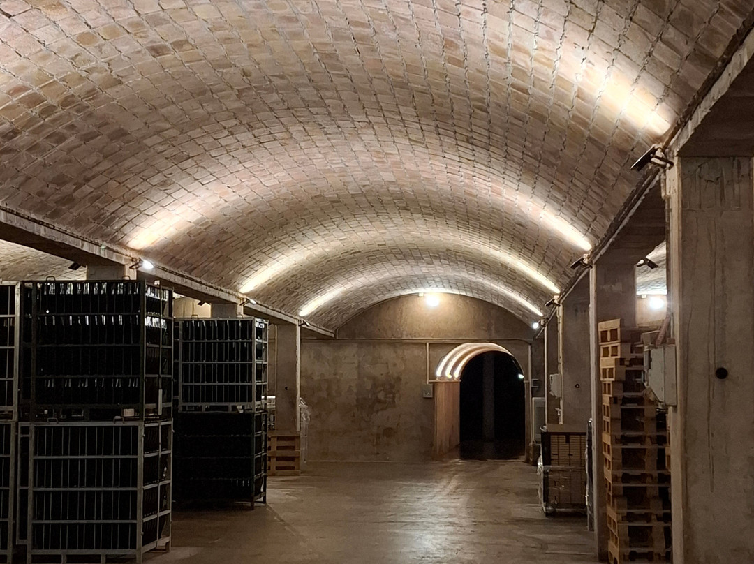 Canals & Munne-桑特萨杜尔尼达诺亚必去景点