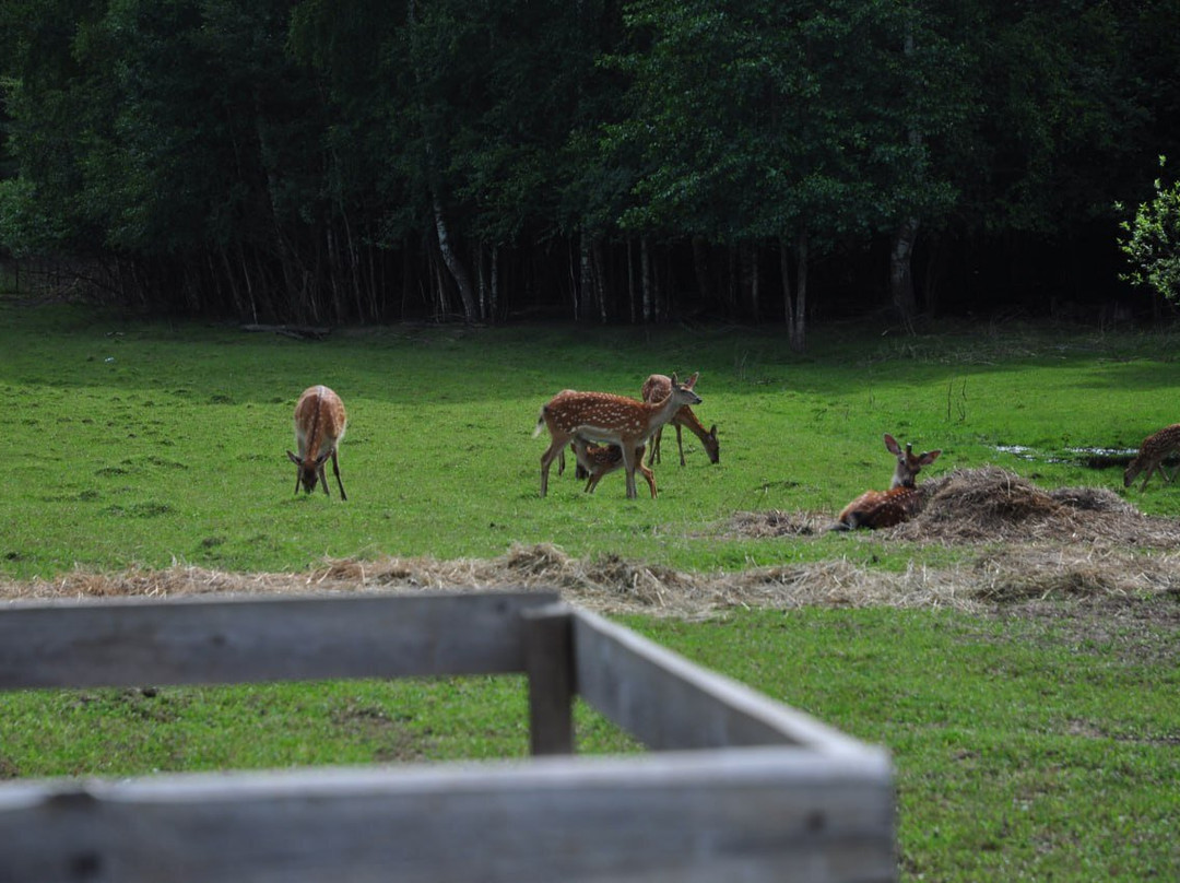 Koporye Eco-Trail-Balakhna必去景点