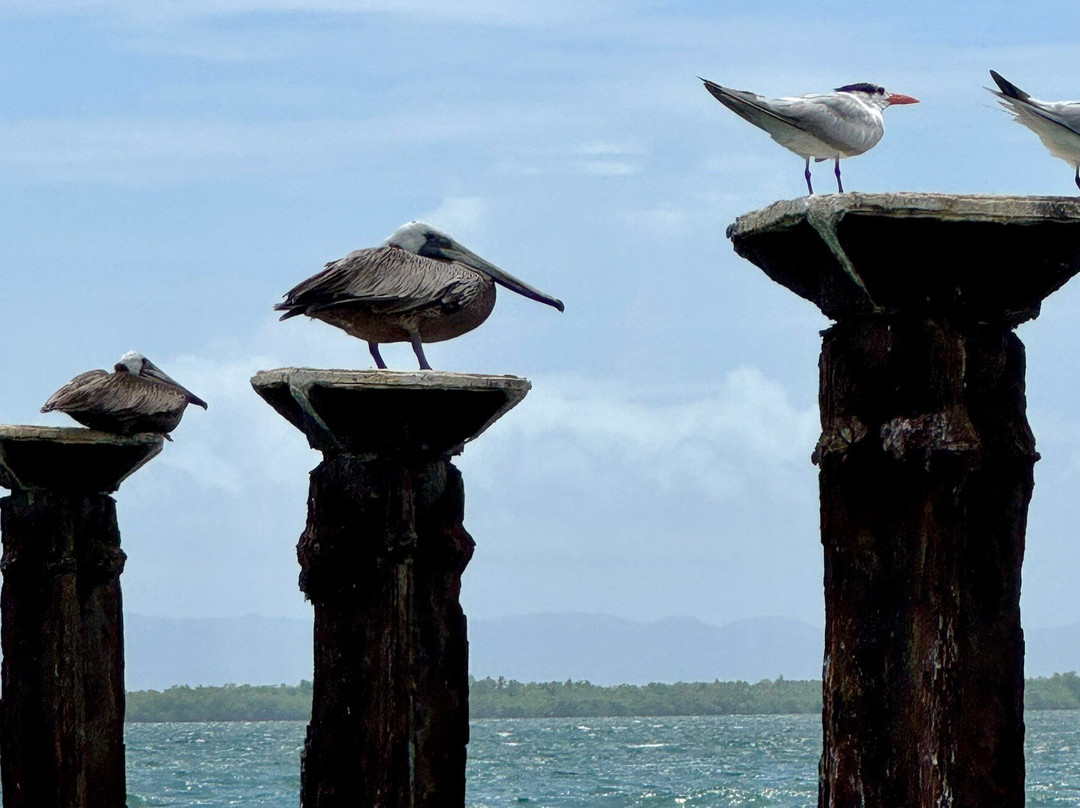 Booking Adventures-Sabana de la Mar必去景点