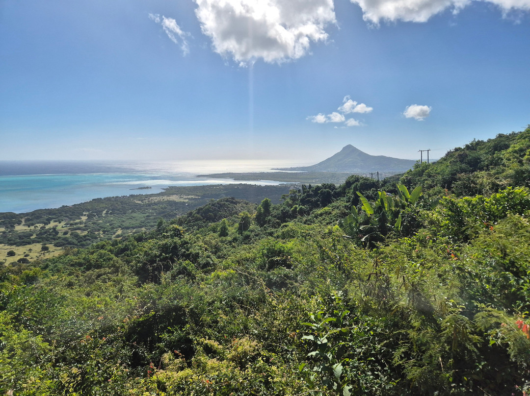 Antonio Taxi Mauritius-Palmar必去景点