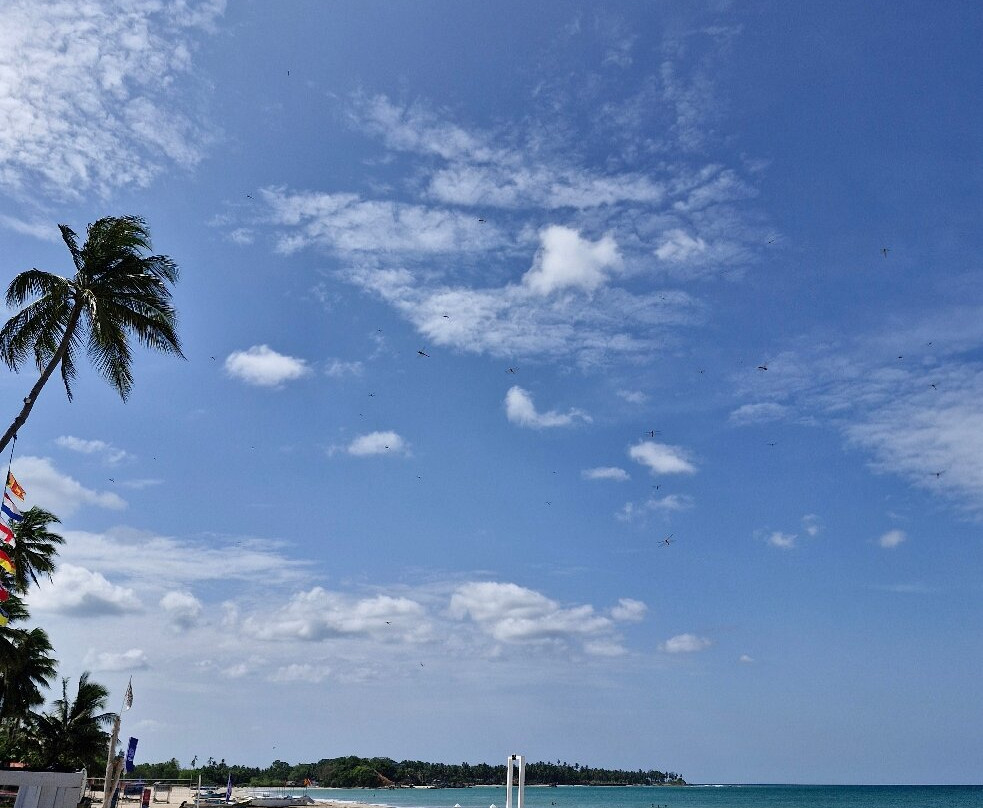 Uppuveli Beach-Trincomalee必去景点