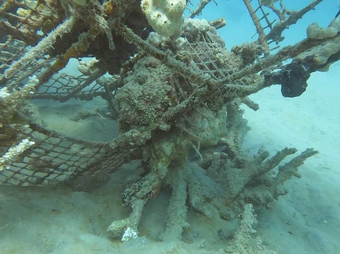 Extra Divers Makadi Bay-马卡迪湾必去景点