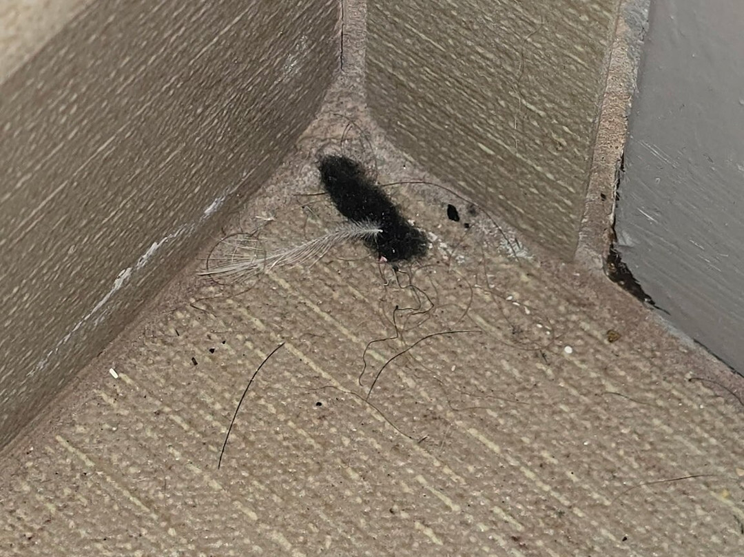 Hyatt Place Topeka主图