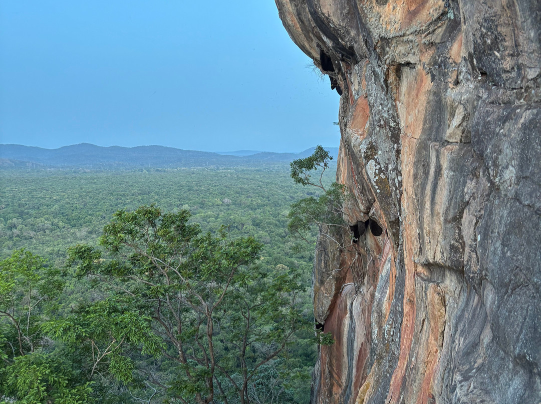 C-Lanka Tours & Travels-科伦坡必去景点