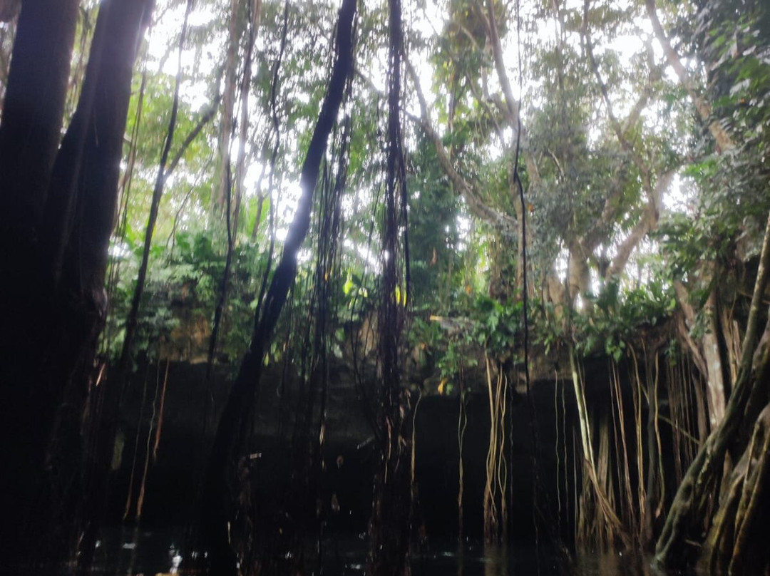 Cenote La Casa De Los Pájaros-Tizimin必去景点
