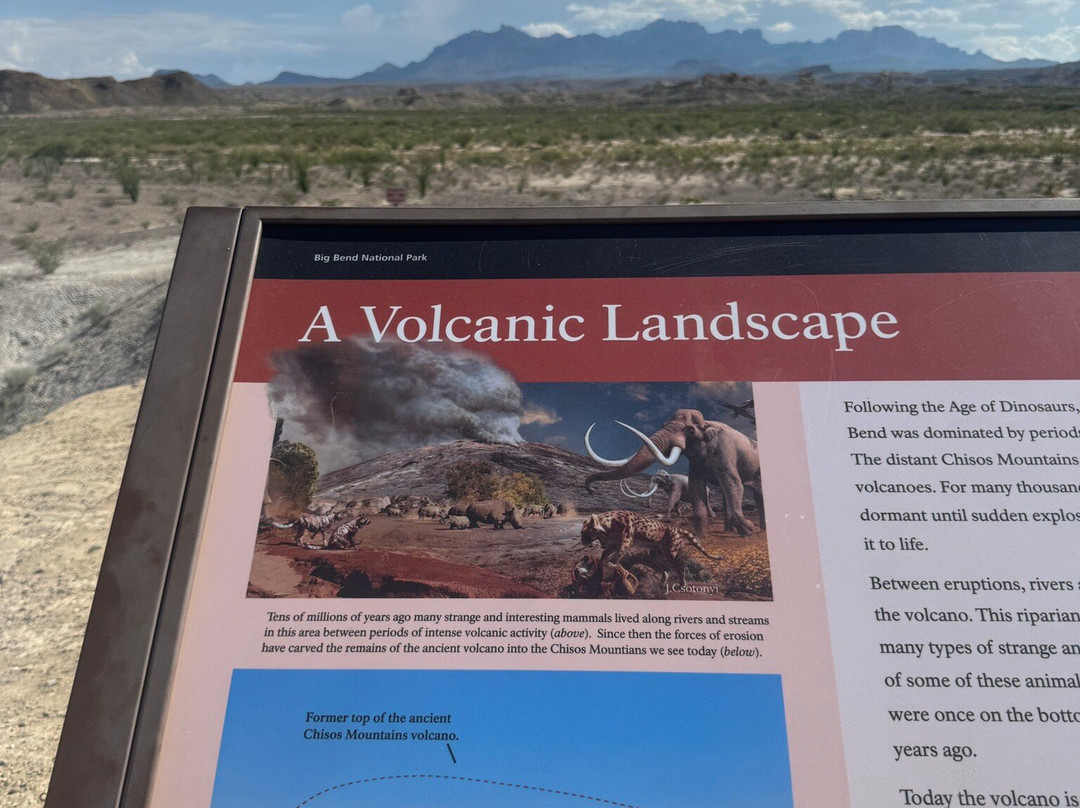 Big Bend National Park - Fossil Bone Exhibit-大弯国家公园必去景点