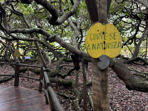 Central De Passeios Natal-Natal必去景点