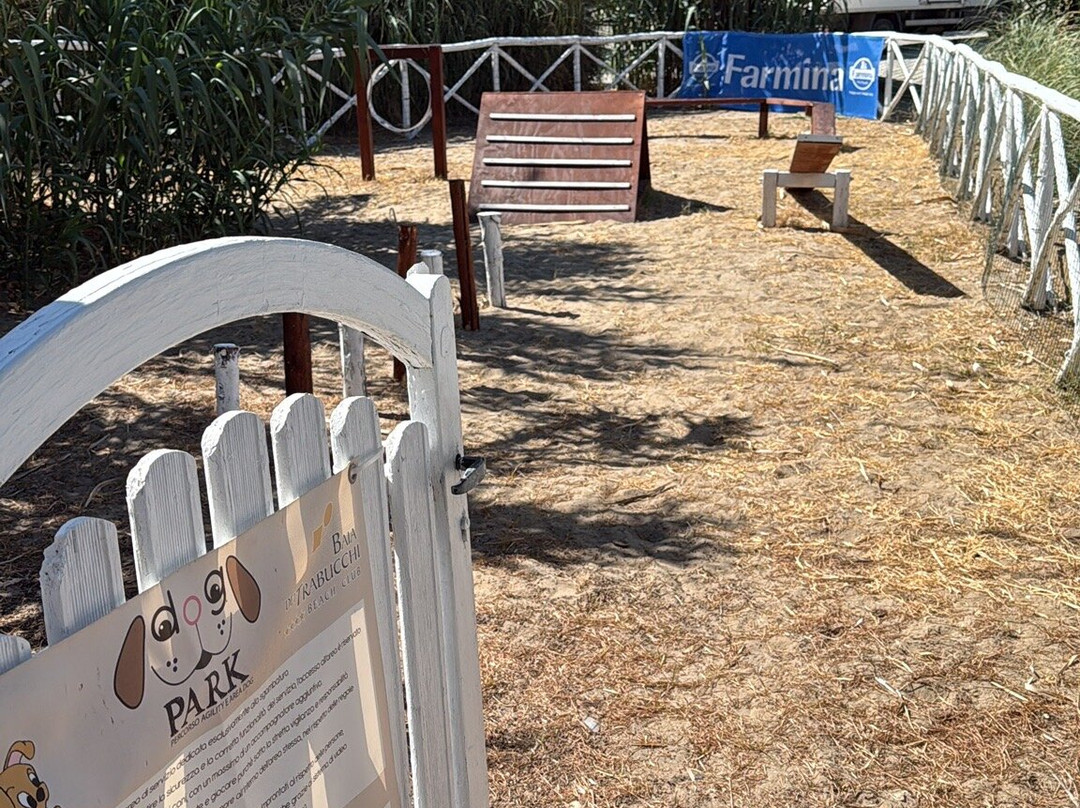Spiaggia Di Procinisco - Peschici-佩斯基奇必去景点