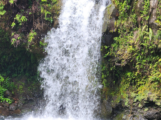 OUI TOUR MAUI-拉海纳必去景点