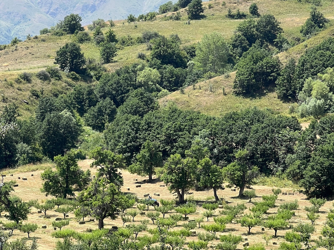 Arates Monastery-Arates必去景点