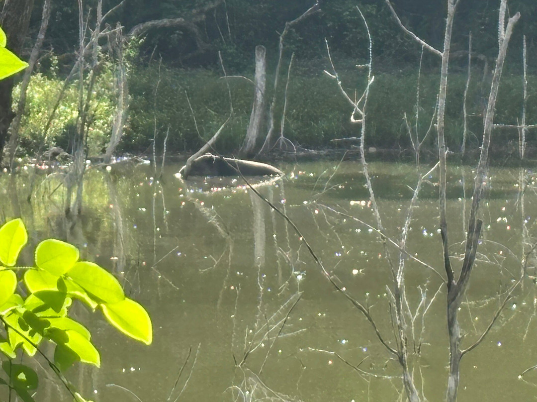 Calakmul y Selva Tours-卡拉克穆尔必去景点