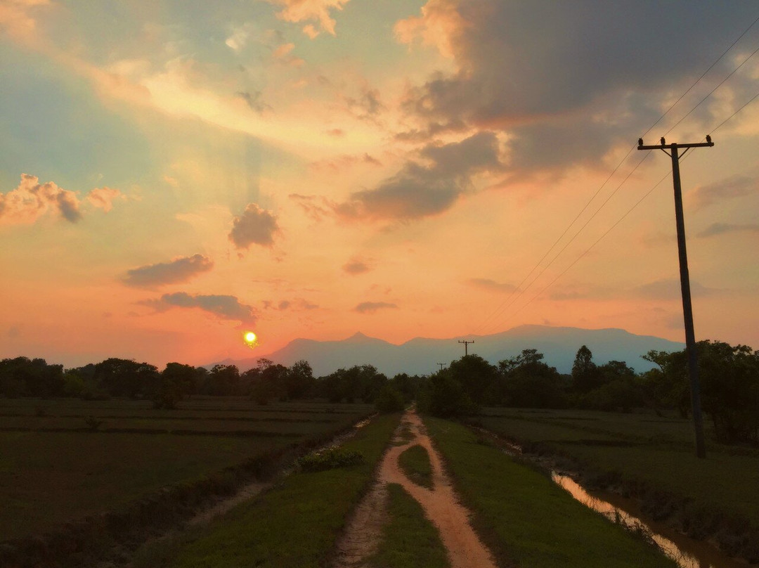 Don Daeng Island-占巴塞省必去景点