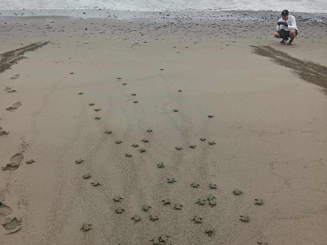 Hacienda Baru Lodge-主日镇必去景点