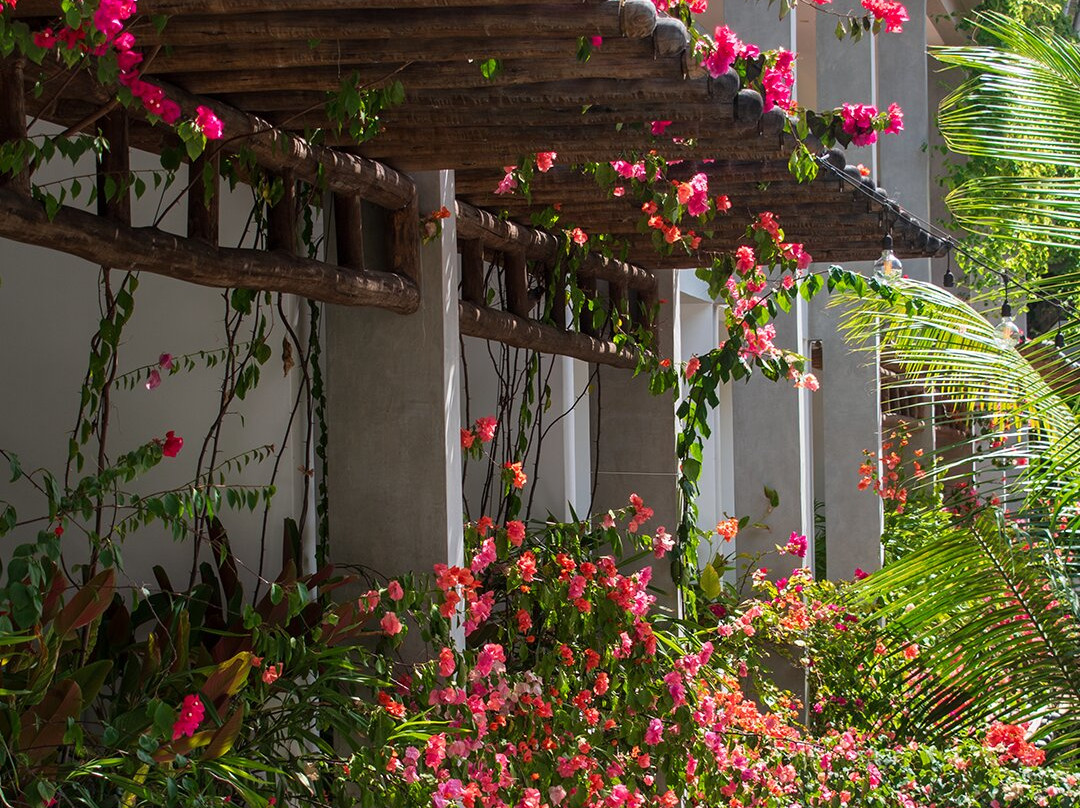 Laïla, Seychelles, A Tribute Portfolio Resort主图