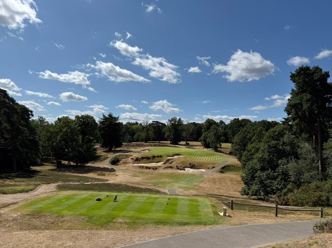 St George's Hill Golf Club-威布里治必去景点