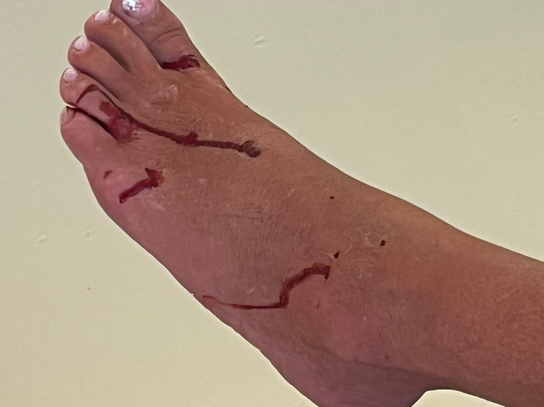 The Ibiza Twiins主图