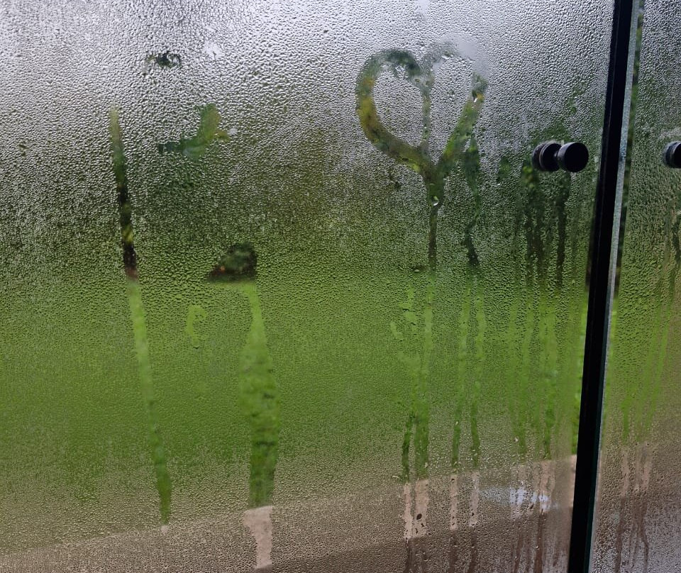 Vilanova Parque Hotel主图