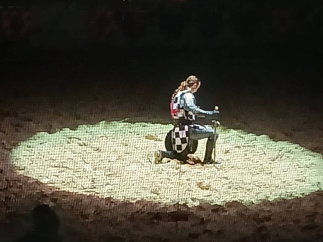 Medieval Times-绍姆堡必去景点