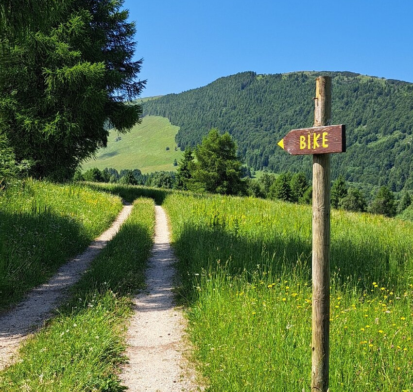 Hotel Alpine Mugon主图