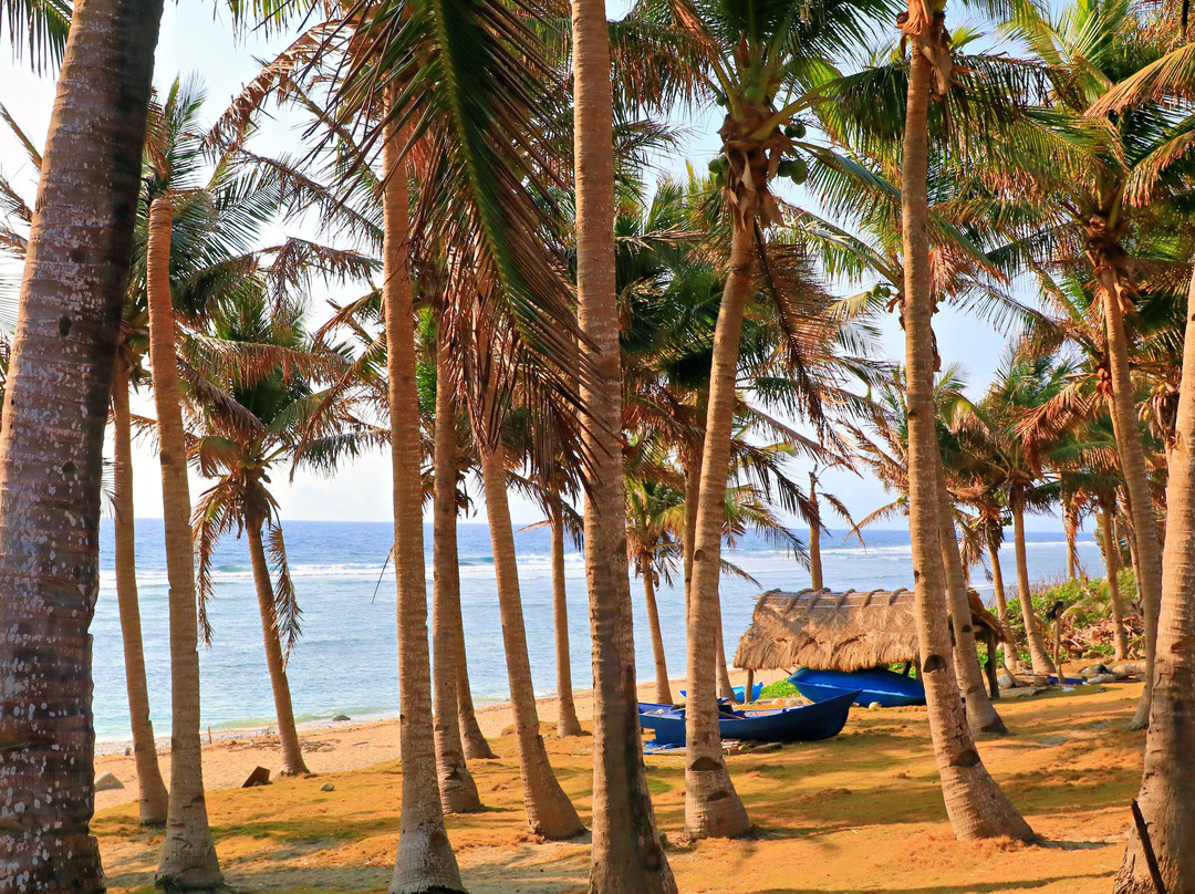 BISUMI Tour & Services-Basco必去景点