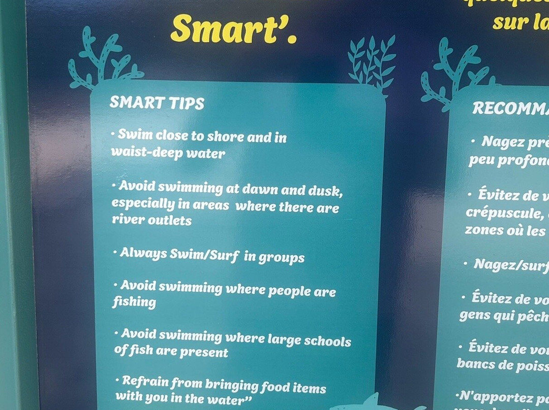 Grand Anse beach-马埃大安塞区必去景点