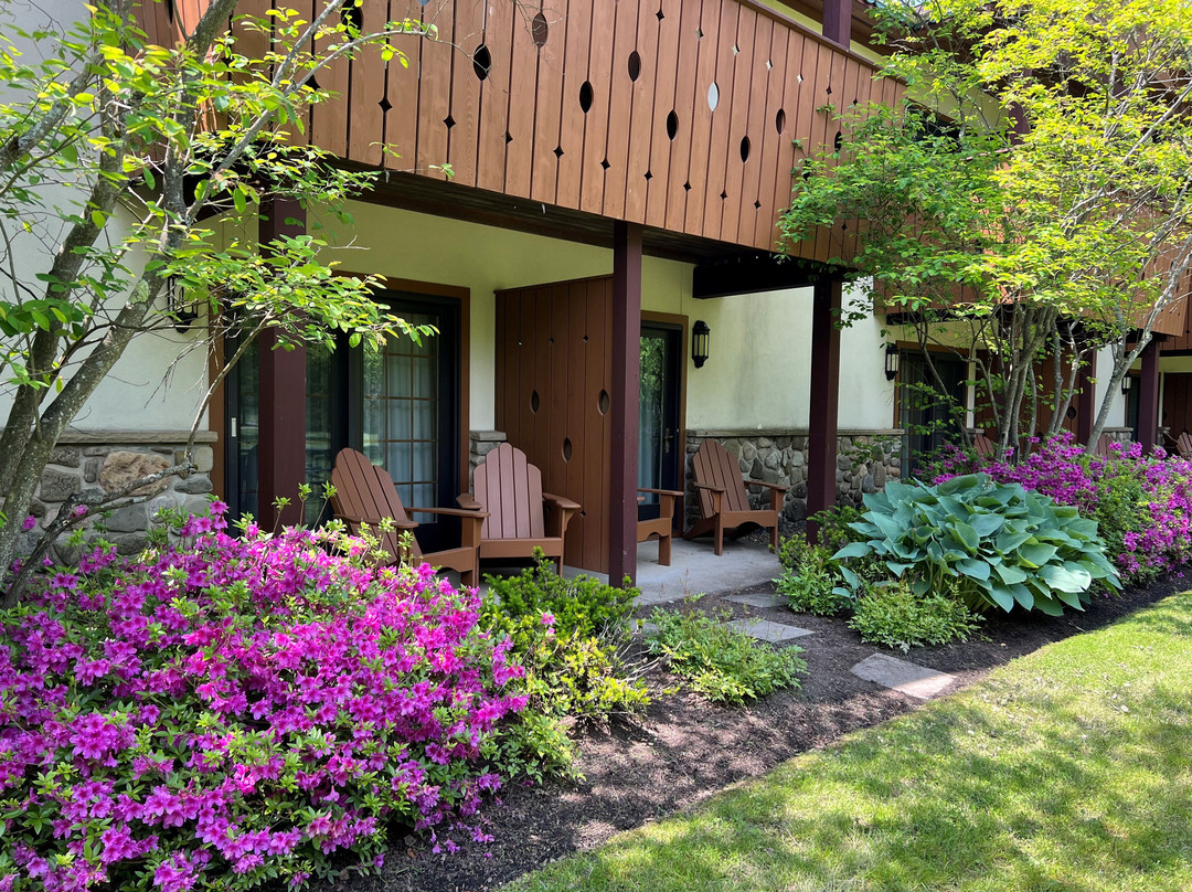 Great Valley酒店住宿-Inn at Holiday Valley