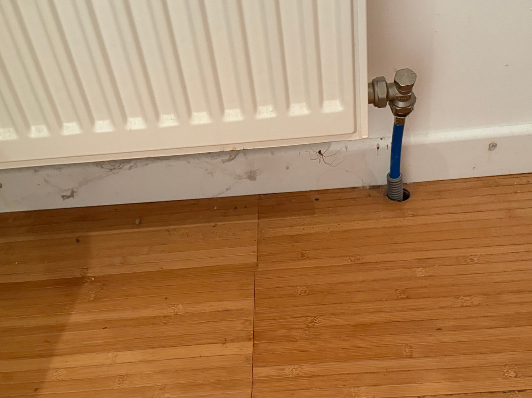 Chateau de Clauzuroux主图